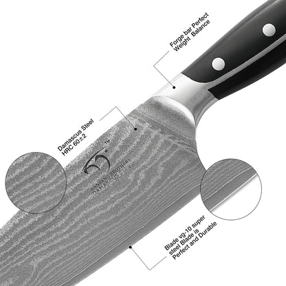 Damascus VG10 Steel Gyuto Chef Knife with ABS Handle