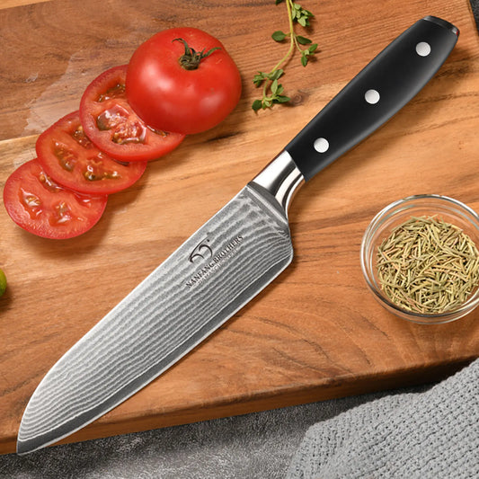 8 Inch Damascus High-Carbon Gyuto Knife