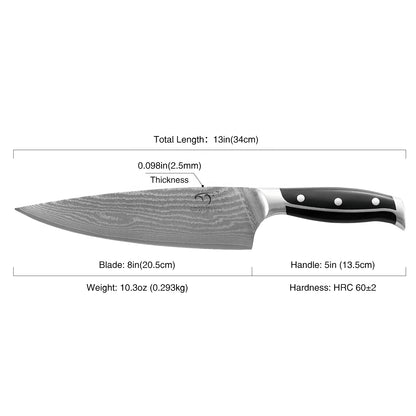 Damascus VG10 Steel Gyuto Chef Knife with ABS Handle